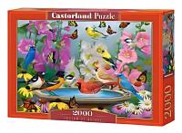 Castorland Пазл 2000 C-200818 Ритм природы